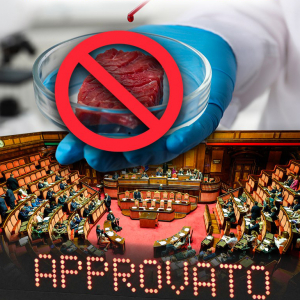 LD 651, DON'T TOUCH ITALIAN MEAT! Alessandro Cuomo exults.  93 in favour,28 against and 33 abstained: approved!